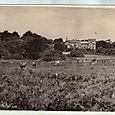 Tresco Abbey