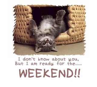 Weekend_comment_graphic_07